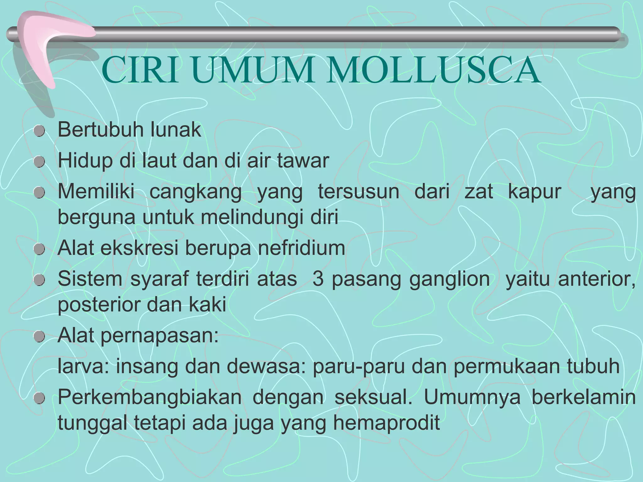 CIRI UMUM MOLLUSCA 
Bertubuh lunak 
Hidup di laut dan di air tawar 
Memiliki cangkang yang tersusun dari zat kapur yang 
berguna untuk melindungi diri 
Alat ekskresi berupa nefridium 
Sistem syaraf terdiri atas 3 pasang ganglion yaitu anterior, 
posterior dan kaki 
Alat pernapasan: 
larva: insang dan dewasa: paru-paru dan permukaan tubuh 
Perkembangbiakan dengan seksual. Umumnya berkelamin 
tunggal tetapi ada juga yang hemaprodit 
 