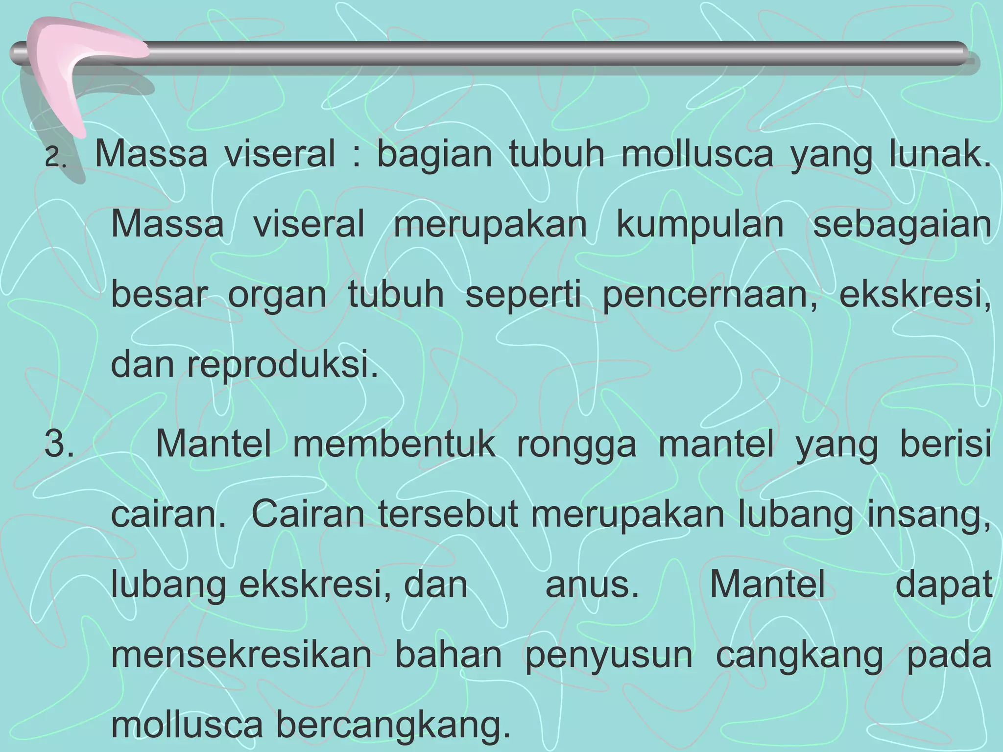 2. Massa viseral : bagian tubuh mollusca yang lunak. 
Massa viseral merupakan kumpulan sebagaian 
besar organ tubuh seperti pencernaan, ekskresi, 
dan reproduksi. 
3. Mantel membentuk rongga mantel yang berisi 
cairan. Cairan tersebut merupakan lubang insang, 
lubang ekskresi, dan anus. Mantel dapat 
mensekresikan bahan penyusun cangkang pada 
mollusca bercangkang. 
 