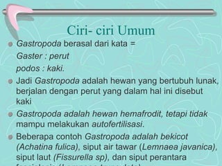 Ciri- ciri Umum 
Gastropoda berasal dari kata = 
Gaster : perut 
podos : kaki. 
Jadi Gastropoda adalah hewan yang bertubuh lunak, 
berjalan dengan perut yang dalam hal ini disebut 
kaki 
Gastropoda adalah hewan hemafrodit, tetapi tidak 
mampu melakukan autofertilisasi. 
Beberapa contoh Gastropoda adalah bekicot 
(Achatina fulica), siput air tawar (Lemnaea javanica), 
siput laut (Fissurella sp), dan siput perantara 
fasciolosis (Lemnaea trunculata). 
 