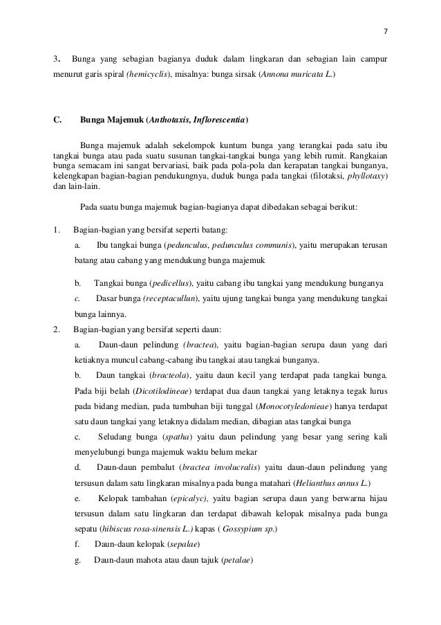 Makalah morfotum alat perkembangbiakan bunga