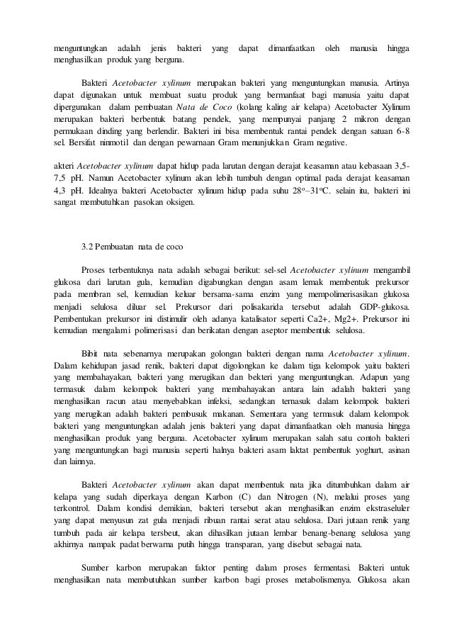 Makalah Nata De Coco