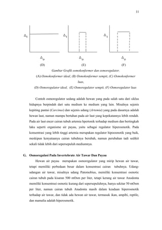11

t

t

o

t

o

(D)

o

(E)

(F)

Gambar Grafik osmokonformer dan osmoregulator.
(A) Osmokonformer ideal, (B) Osmokonformer sempit, (C) Osmokonformer
luas,
(D) Osmoregulator ideal, (E) Osmoregulator sempit, (F) Osmoregulator luas
Contoh osmoregulator sedang adalah hewan yang pada salah satu dari siklus
hidupnya berpindah dari satu medium ke medium yang lain. Misalnya sejenis
kepiting pantai (Carcinus) dan sejenis udang (Artemia) yang pada dasarnya adalah
hewan laut, namun mampu bertahan pada air laut yang kepekatannya lebih rendah.
Pada air laut encer cairan tubuh artemia hpertonik terhadap medium dan bertingkah
laku seperti organisme air payau, yaitu sebagai regulator hiperosmotik. Pada
konsentrasi yang lebih tinggi artemia merupakan regulator hipoosmotik yang baik,
meskipun kenyataanya cairan tubuhnya berubah, namun perubahan tadi sedikit
sekali tidak lebih dari sepersepuluh mediumnya.
G. Osmoregulasi Pada Invertebrate Air Tawar Dan Payau
Hewan air payau merupakan osmoregulator yang mirip hewan air tawar,
tetapi memiliki perbedaan besar dalam konsentrasi cairan

tubuhnya. Udang-

udangan air tawar, misalnya udang Patomobius, memiliki konsentrasi osmotic
cairan tubuh pada kisaran 500 mOsm per liter, tetapi kerang air tawar Anodonta
memiliki konsentrasi osmotic kurang dari sepersepuluhnya, hanya sekitar 50 mOsm
per liter, namun cairan tubuh Anadonta masih dalam keadaan hiperosmotik
terhadap air tawar, dan tidak ada hewan air tawar, termasuk ikan, ampibi, reptile,
dan mamalia adalah hiperosmotik.

 