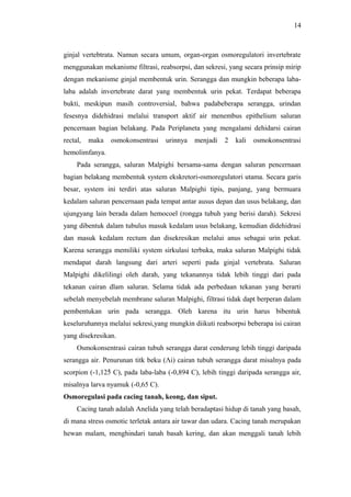 14

ginjal vertebtrata. Namun secara umum, organ-organ osmoregulatori invertebrate
menggunakan mekanisme filtrasi, reabsorpsi, dan sekresi, yang secara prinsip mirip
dengan mekanisme ginjal membentuk urin. Serangga dan mungkin beberapa labalaba adalah invertebrate darat yang membentuk urin pekat. Terdapat beberapa
bukti, meskipun masih controversial, bahwa padabeberapa serangga, urindan
fesesnya didehidrasi melalui transport aktif air menembus epithelium saluran
pencernaan bagian belakang. Pada Periplaneta yang mengalami dehidarsi cairan
rectal,

maka

osmokonsentrasi

urinnya

menjadi

2

kali

osmokonsentrasi

hemolimfanya.
Pada serangga, saluran Malpighi bersama-sama dengan saluran pencernaan
bagian belakang membentuk system ekskretori-osmoregulatori utama. Secara garis
besar, system ini terdiri atas saluran Malpighi tipis, panjang, yang bermuara
kedalam saluran pencernaan pada tempat antar ausus depan dan usus belakang, dan
ujungyang lain berada dalam hemocoel (rongga tubuh yang berisi darah). Sekresi
yang dibentuk dalam tubulus masuk kedalam usus belakang, kemudian didehidrasi
dan masuk kedalam rectum dan disekresikan melalui anus sebagai urin pekat.
Karena serangga memiliki system sirkulasi terbuka, maka saluran Malpighi tidak
mendapat darah langsung dari arteri seperti pada ginjal vertebrata. Saluran
Malpighi dikelilingi oleh darah, yang tekanannya tidak lebih tinggi dari pada
tekanan cairan dlam saluran. Selama tidak ada perbedaan tekanan yang berarti
sebelah menyebelah membrane saluran Malpighi, filtrasi tidak dapt berperan dalam
pembentukan urin pada serangga. Oleh karena itu urin harus bibentuk
keseluruhannya melalui sekresi,yang mungkin diikuti reabsorpsi beberapa isi cairan
yang disekresikan.
Osmokonsentrasi cairan tubuh serangga darat cenderung lebih tinggi daripada
serangga air. Penurunan titk beku (Λi) cairan tubuh serangga darat misalnya pada
scorpion (-1,125̊ C), pada laba-laba (-0,894 C), lebih tinggi daripada serangga air,
misalnya larva nyamuk (-0,65 C).
Osmoregulasi pada cacing tanah, keong, dan siput.
Cacing tanah adalah Anelida yang telah beradaptasi hidup di tanah yang basah,
di mana stress osmotic terletak antara air tawar dan udara. Cacing tanah merupakan
hewan malam, menghindari tanah basah kering, dan akan menggali tanah lebih

 