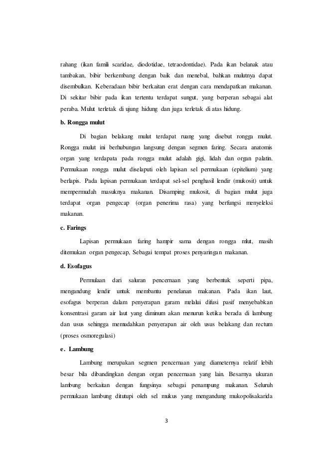 Makalah Pencernaan Ani