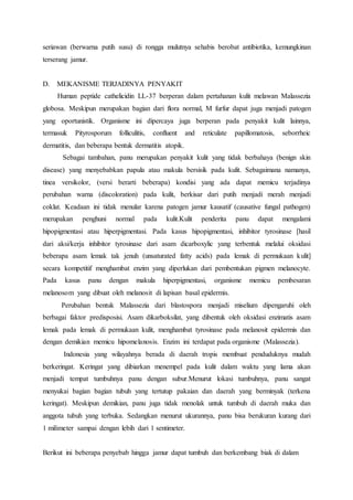 seriawan (berwarna putih susu) di rongga mulutnya sehabis berobat antibiotika, kemungkinan 
terserang jamur. 
D. MEKANISME TERJADINYA PENYAKIT 
Human peptide cathelicidin LL-37 berperan dalam pertahanan kulit melawan Malassezia 
globosa. Meskipun merupakan bagian dari flora normal, M furfur dapat juga menjadi patogen 
yang oportunistik. Organisme ini dipercaya juga berperan pada penyakit kulit lainnya, 
termasuk Pityrosporum folliculitis, confluent and reticulate papillomatosis, seborrheic 
dermatitis, dan beberapa bentuk dermatitis atopik. 
Sebagai tambahan, panu merupakan penyakit kulit yang tidak berbahaya (benign skin 
disease) yang menyebabkan papula atau makula bersisik pada kulit. Sebagaimana namanya, 
tinea versikolor, (versi berarti beberapa) kondisi yang ada dapat memicu terjadinya 
perubahan warna (discoloration) pada kulit, berkisar dari putih menjadi merah menjadi 
coklat. Keadaan ini tidak menular karena patogen jamur kausatif (causative fungal pathogen) 
merupakan penghuni normal pada kulit.Kulit penderita panu dapat mengalami 
hipopigmentasi atau hiperpigmentasi. Pada kasus hipopigmentasi, inhibitor tyrosinase [hasil 
dari aksi/kerja inhibitor tyrosinase dari asam dicarboxylic yang terbentuk melalui oksidasi 
beberapa asam lemak tak jenuh (unsaturated fatty acids) pada lemak di permukaan kulit] 
secara kompetitif menghambat enzim yang diperlukan dari pembentukan pigmen melanocyte. 
Pada kasus panu dengan makula hiperpigmentasi, organisme memicu pembesaran 
melanosom yang dibuat oleh melanosit di lapisan basal epidermis. 
Perubahan bentuk Malassezia dari blastospora menjadi miselium dipengaruhi oleh 
berbagai faktor predisposisi. Asam dikarboksilat, yang dibentuk oleh oksidasi enzimatis asam 
lemak pada lemak di permukaan kulit, menghambat tyrosinase pada melanosit epidermis dan 
dengan demikian memicu hipomelanosis. Enzim ini terdapat pada organisme (Malassezia). 
Indonesia yang wilayahnya berada di daerah tropis membuat penduduknya mudah 
berkeringat. Keringat yang dibiarkan menempel pada kulit dalam waktu yang lama akan 
menjadi tempat tumbuhnya panu dengan subur.Menurut lokasi tumbuhnya, panu sangat 
menyukai bagian bagian tubuh yang tertutup pakaian dan daerah yang berminyak (terkena 
keringat). Meskipun demikian, panu juga tidak menolak untuk tumbuh di daerah muka dan 
anggota tubuh yang terbuka. Sedangkan menurut ukurannya, panu bisa berukuran kurang dari 
1 milimeter sampai dengan lebih dari 1 sentimeter. 
Berikut ini beberapa penyebab hingga jamur dapat tumbuh dan berkembang biak di dalam 
 