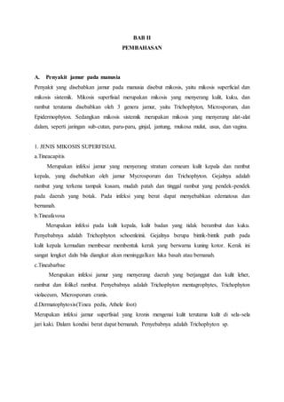 BAB II 
PEMBAHASAN 
A. Penyakit jamur pada manusia 
Penyakit yang disebabkan jamur pada manusia disebut mikosis, yaitu mikosis superficial dan 
mikosis sistemik. Mikosis superfisial merupakan mikosis yang menyerang kulit, kuku, dan 
rambut terutama disebabkan oleh 3 genera jamur, yaitu Trichophyton, Microsporum, dan 
Epidermophyton. Sedangkan mikosis sistemik merupakan mikosis yang menyerang alat-alat 
dalam, seperti jaringan sub-cutan, paru-paru, ginjal, jantung, mukosa mulut, usus, dan vagina. 
1. JENIS MIKOSIS SUPERFISIAL 
a.Tineacapitis 
Merupakan infeksi jamur yang menyerang stratum corneum kulit kepala dan rambut 
kepala, yang disebabkan oleh jamur Mycrosporum dan Trichophyton. Gejalnya adalah 
rambut yang terkena tampak kusam, mudah patah dan tinggal rambut yang pendek-pendek 
pada daerah yang botak. Pada infeksi yang berat dapat menyebabkan edematous dan 
bernanah. 
b.Tineafavosa 
Merupakan infeksi pada kulit kepala, kulit badan yang tidak berambut dan kuku. 
Penyebabnya adalah Trichophyton schoenleinii. Gejalnya berupa bintik-bintik putih pada 
kulit kepala kemudian membesar membentuk kerak yang berwarna kuning kotor. Kerak ini 
sangat lengket daln bila diangkat akan meninggalkan luka basah atau bernanah. 
c.Tineabarbae 
Merupakan infeksi jamur yang menyerang daerah yang berjanggut dan kulit leher, 
rambut dan folikel rambut. Penyebabnya adalah Trichophyton mentagrophytes, Trichophyton 
violaceum, Microsporum cranis. 
d.Dermatophytosis(Tinea pedis, Athele foot) 
Merupakan infeksi jamur superfisial yang kronis mengenai kulit terutama kulit di sela-sela 
jari kaki. Dalam kondisi berat dapat bernanah. Penyebabnya adalah Trichophyton sp. 
 