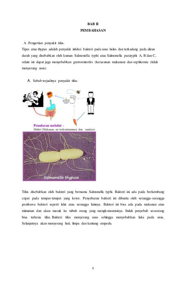 Makalah Penyakit Tifus