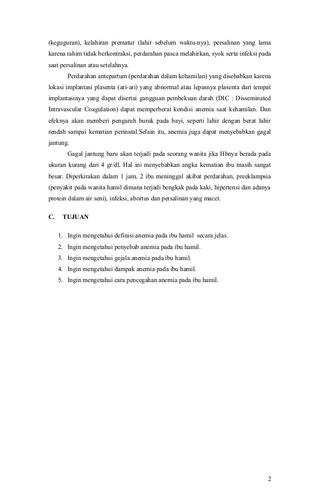 Makalah prinsip diet pada ibu hamil dengan anemia 3