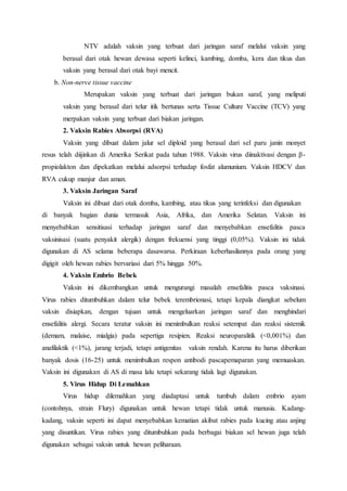 Penyakit Rabies | DOCX