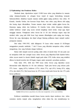 Makalah Rabies | DOCX