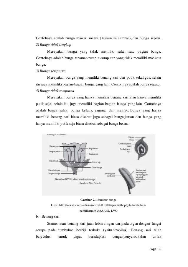 Makalah reproduksi tumbuhan Angiospermae pdf