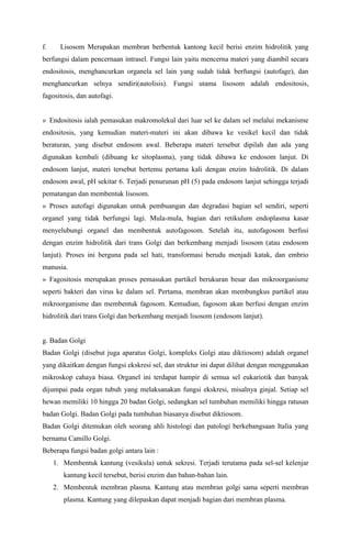 f. Lisosom Merupakan membran berbentuk kantong kecil berisi enzim hidrolitik yang
berfungsi dalam pencernaan intrasel. Fungsi lain yaitu mencerna materi yang diambil secara
endositosis, menghancurkan organela sel lain yang sudah tidak berfungsi (autofage), dan
menghancurkan selnya sendiri(autolisis). Fungsi utama lisosom adalah endositosis,
fagositosis, dan autofagi.
» Endositosis ialah pemasukan makromolekul dari luar sel ke dalam sel melalui mekanisme
endositosis, yang kemudian materi-materi ini akan dibawa ke vesikel kecil dan tidak
beraturan, yang disebut endosom awal. Beberapa materi tersebut dipilah dan ada yang
digunakan kembali (dibuang ke sitoplasma), yang tidak dibawa ke endosom lanjut. Di
endosom lanjut, materi tersebut bertemu pertama kali dengan enzim hidrolitik. Di dalam
endosom awal, pH sekitar 6. Terjadi penurunan pH (5) pada endosom lanjut sehingga terjadi
pematangan dan membentuk lisosom.
» Proses autofagi digunakan untuk pembuangan dan degradasi bagian sel sendiri, seperti
organel yang tidak berfungsi lagi. Mula-mula, bagian dari retikulum endoplasma kasar
menyelubungi organel dan membentuk autofagosom. Setelah itu, autofagosom berfusi
dengan enzim hidrolitik dari trans Golgi dan berkembang menjadi lisosom (atau endosom
lanjut). Proses ini berguna pada sel hati, transformasi berudu menjadi katak, dan embrio
manusia.
» Fagositosis merupakan proses pemasukan partikel berukuran besar dan mikroorganisme
seperti bakteri dan virus ke dalam sel. Pertama, membran akan membungkus partikel atau
mikroorganisme dan membentuk fagosom. Kemudian, fagosom akan berfusi dengan enzim
hidrolitik dari trans Golgi dan berkembang menjadi lisosom (endosom lanjut).
g. Badan Golgi
Badan Golgi (disebut juga aparatus Golgi, kompleks Golgi atau diktiosom) adalah organel
yang dikaitkan dengan fungsi ekskresi sel, dan struktur ini dapat dilihat dengan menggunakan
mikroskop cahaya biasa. Organel ini terdapat hampir di semua sel eukariotik dan banyak
dijumpai pada organ tubuh yang melaksanakan fungsi ekskresi, misalnya ginjal. Setiap sel
hewan memiliki 10 hingga 20 badan Golgi, sedangkan sel tumbuhan memiliki hingga ratusan
badan Golgi. Badan Golgi pada tumbuhan biasanya disebut diktiosom.
Badan Golgi ditemukan oleh seorang ahli histologi dan patologi berkebangsaan Italia yang
bernama Camillo Golgi.
Beberapa fungsi badan golgi antara lain :
1. Membentuk kantung (vesikula) untuk sekresi. Terjadi terutama pada sel-sel kelenjar
kantung kecil tersebut, berisi enzim dan bahan-bahan lain.
2. Membentuk membran plasma. Kantung atau membran golgi sama seperti membran
plasma. Kantung yang dilepaskan dapat menjadi bagian dari membran plasma.
 