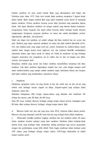 Struktur membran sel yaitu model mozaik fluida yang dikemukakan oleh Singer dan
Nicholson pada tahun 1972. Pada teori mozaik fluida membran merupakan 2 lapisan lemak
dalam bentuk fluida dengan molekul lipid yang dapat berpindah secara lateral di sepanjang
lapisan membran. Protein membran tersusun secara tidak beraturan yang menembus lapisan
lemak. Jadi dapat dikatakan membran sel sebagai struktur yang dinamis dimana komponen-
komponennya bebas bergerak dan dapat terikat bersama dalam berbagai bentuk interaksi
semipermanen Komponen penyusun membran sel antara lain adalah phosfolipids, protein,
oligosakarida, glikolipid, dan kolesterol.
Salah satu fungsi dari membran sel adalah sebagai lalu lintas molekul dan ion secara dua
arah. Molekul yang dapat melewati membran sel antara lain ialah molekul hidrofobik (CO2,
O2), dan molekul polar yang sangat kecil (air, etanol). Sementara itu, molekul lainnya seperti
molekul polar dengan ukuran besar (glukosa), ion, dan substansi hidrofilik membutuhkan
mekanisme khusus agar dapat masuk ke dalam sel. Selain itu membrane sel juga berfungsi
mengatur pemasukan dan pengeluaran zat ke dalam dan ke luar sel dengan cara difusi,
osmosis, dan transport aktif.
Banyaknya molekul yang masuk dan keluar membran menyebabkan terciptanya lalu lintas
membran. Lalu lintas membran digolongkan menjadi dua cara, yaitu dengan transpor pasif
untuk molekul-molekul yang mampu melalui membran tanpa mekanisme khusus dan transpor
aktif untuk molekul yang membutuhkan mekanisme khusus.
c. Sitoplasma
Sitoplasma merupakan cairan sel yang berada di luar inti, terdiri atas air dan zat-zat yang
terlarut serta berbagai macam organel sel hidup. Organel-organel yang terdapat dalam
sitoplasma antara lain :
Retikulum Endoplasma (RE) berupa saluran-saluran yang dibentuk oleh membrane. RE
terbagi dua macam, yaitu RE halus dan RE kasar.
Pada RE kasar terdapat ribosom, berfungsi sebagai tempat sintesis protein. Sedangkan pada
RE halus tidak terdapat ribosom, berfungsi sebagai tempat sintesis lipid.
d. Ribosom terdiri atas dua unit yang kaya akan RNA, berperan dalam sintesis protein.
Ribosom ada yang menempel pada RE kasar dan ada yang terdapat bebas dalam sitoplasma.
e. Mitokondria memiliki membran rangkap, membran luar dan membran dalam. Di antara
kedua membran tersebut terdapat ruang antar membran. Membran dalam berlekuk-lekuk
disebut krista yang berfungsi untuk memperluas bidang permukaan agar proses penyerapan
oksigen dan pembentukan energi lebih efektif. Pada bagian membrane dalam terdapat enzim
ATP sintase yang berfungsi sebagai tempat sintesis ATP.Fungsi mitokondria ini adalah
tempat respirasi aerob.
 