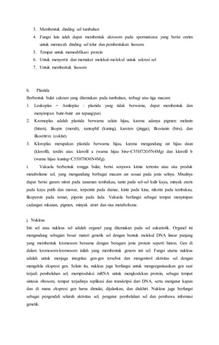 3. Membentuk dinding sel tumbuhan
4. Fungsi lain ialah dapat membentuk akrosom pada spermatozoa yang berisi enzim
untuk memecah dinding sel telur dan pembentukan lisosom.
5. Tempat untuk memodifikasi protein
6. Untuk menyortir dan memaket molekul-molekul untuk sekresi sel
7. Untuk membentuk lisosom
h. Plastida
Berbentuk bulat cakram yang ditemukan pada tumbuhan, terbagi atas tiga macam:
1. Leukoplas = Amiloplas : plastida yang tidak berwarna, dapat membentuk dan
menyimpan butir-butir zat tepung/pati.
2. Kromoplas adalah plastida berwarna selain hijau, karena adanya pigmen: melanin
(hitam), likopin (merah), xantophil (kuning), karoten (jingga), fikosianin (biru), dan
fikoeritrin (coklat).
3. Kloroplas merupakan plastida berwarna hijau, karena mengandung zat hijau daun
(klorofil), terdiri atas: klorofil a (warna hijau biru=C55H72O5N4Mg) dan klorofil b
(warna hijau kuning=C55H70O6N4Mg).
i. Vakuola berbentuk rongga bulat, berisi senyawa kimia tertentu atau sisa produk
metabolisme sel, yang mengandung berbagai macam zat sesuai pada jenis selnya. Misalnya
dapat berisi garam nitrat pada tanaman tembakau, tanin pada sel-sel kulit kayu, minyak eteris
pada kayu putih dan mawar, terpentin pada damar, kinin pada kina, nikotin pada tembakau,
likopersin pada tomat, piperin pada lada. Vakuola berfungsi sebagai tempat menyimpan
cadangan mkanan, pigmen, minyak atsiri dan sisa metabolisme.
j. Nukleus
Inti sel atau nukleus sel adalah organel yang ditemukan pada sel eukariotik. Organel ini
mengandung sebagian besar materi genetik sel dengan bentuk molekul DNA linear panjang
yang membentuk kromosom bersama dengan beragam jenis protein seperti histon. Gen di
dalam kromosom-kromosom inilah yang membentuk genom inti sel. Fungsi utama nukleus
adalah untuk menjaga integritas gen-gen tersebut dan mengontrol aktivitas sel dengan
mengelola ekspresi gen. Selain itu, nukleus juga berfungsi untuk mengorganisasikan gen saat
terjadi pembelahan sel, memproduksi mRNA untuk mengkodekan protein, sebagai tempat
sintesis ribosom, tempat terjadinya replikasi dan transkripsi dari DNA, serta mengatur kapan
dan di mana ekspresi gen harus dimulai, dijalankan, dan diakhiri. Nukleus juga berfungsi
sebagai pengendali seluruh aktivitas sel, pengatur pembelahan sel dan pembawa informasi
genetik.
 