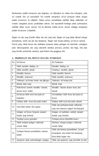 Berdasarkan jumlah kromosom dan fungsinya, sel dibedakan ke dalam dua kelompok, yaitu
sel somatik dan sel reproduktif. Sel somatik merupakan sel-sel penyusun tubuh, dengan
jumlah kromosom 2n (diploid). Dalam proses pertumbuhan makhluk hidup multiseluler sel
somatic mengalami proses pembelahan mitosis. Sel reproduktif berfungsi untuk perbanyakan
makhluk hidup secara seksual. Sel ini dibentuk melalui proses meiosis sehingga mempunyai
jumlah kromosom n (haploid).
Bagian sel ada yang bersifat hidup dan ada yang mati. Bagian sel yang hidup dikenal sebagai
protoplasma, terdiri atas inti dan sitoplasma. Bagian mati berupa dinding sel dan isi vakuola.
Sel-sel pada tubuh hewan dan tumbuhan termasuk dalam golongan sel eukariotik, sedangkan
pada mikroorganisme ada yang eukariotik misalnya protozoa, protista, dan fungi. Ada pula
yang bersifat prokariotik misalnya pada bakteri dan ganggang biru.
4. PERBEDAAN SEL HEWAN DAN SEL TUMBUHAN
No. Sel Hewan Sel Tumbuhan
1 Tidak memiliki dinding sel Memiliki dinding sel
2 Tidak memiliki plastid Umumnya memiliki plastid
3 Memiliki lisosom Tidak memiliki lisosom
4 Memiliki sentrosom Tidak memiliki sentrosom
5 Timbunan zat berupa lemak dan glikogen Timbunan zat berupa pati
6 Bentuk tidak tetap Bentuk tetap
7
Pada hewan tertentu memiliki vakuola,
ukuran kecil, sedikit
Memiliki vakuola ukuran besar, dan
banyak
8
Sel hewan lebih kecil dari pada sel
tumbuhan
Sel tumbuhan lebih besar dari pada sel
hewan
9 Nukleus lebih besar dari pada vesikel Nukleus lebih kecil dari pada vakuola
10 Ada kutub animal dan vegetal
Tidak ada perbedaan kutub embrionik,
yang ada semacam epigeal dan hypogeal
11
Jaringan sel hewan bergerak menjadi
bentuk yang berbeda
Jaringan sel tumbuhan tumbuh menjadi
bentuk yang berbeda
12 Terdapat proses gastrulasi Terdapat proses histodifferensiasi
13
Tidak terdapat jaringan embrionik
seumur hidup
Meristem sebagai jaringan embrionik
seumur hidup
14
Terdapat batasan pertumbuhan (ukuran
tubuh)
Tidak ada batasan pertumbuhan, kecuali
kemampuan akar dalam hal menopang
berat tubuh bagian atas
15 Apoptosis untuk perkembangan jaringan, Tidak ada apoptosis, yang ada lebih ke arah
 
