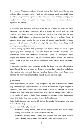 4
f. Lisosom Merupakan membran berbentuk kantong kecil berisi enzim hidrolitik yang
berfungsi dalam pencernaan intrasel. Fungsi lain yaitu mencerna materi yang diambil secara
endositosis, menghancurkan organela sel lain yang sudah tidak berfungsi (autofage), dan
menghancurkan selnya sendiri(autolisis). Fungsi utama lisosom adalah endositosis,
fagositosis, dan autofagi.
» Endositosis ialah pemasukan makromolekul dari luar sel ke dalam sel melalui mekanisme
endositosis, yang kemudian materi-materi ini akan dibawa ke vesikel kecil dan tidak
beraturan, yang disebut endosom awal. Beberapa materi tersebut dipilah dan ada yang
digunakan kembali (dibuang ke sitoplasma), yang tidak dibawa ke endosom lanjut. Di
endosom lanjut, materi tersebut bertemu pertama kali dengan enzim hidrolitik. Di dalam
endosom awal, pH sekitar 6. Terjadi penurunan pH (5) pada endosom lanjut sehingga terjadi
pematangan dan membentuk lisosom.
» Proses autofagi digunakan untuk pembuangan dan degradasi bagian sel sendiri, seperti
organel yang tidak berfungsi lagi. Mula-mula, bagian dari retikulum endoplasma kasar
menyelubungi organel dan membentuk autofagosom. Setelah itu, autofagosom berfusi
dengan enzim hidrolitik dari trans Golgi dan berkembang menjadi lisosom (atau endosom
lanjut). Proses ini berguna pada sel hati, transformasi berudu menjadi katak, dan embrio
manusia.
» Fagositosis merupakan proses pemasukan partikel berukuran besar dan mikroorganisme
seperti bakteri dan virus ke dalam sel. Pertama, membran akan membungkus partikel atau
mikroorganisme dan membentuk fagosom. Kemudian, fagosom akan berfusi dengan enzim
hidrolitik dari trans Golgi dan berkembang menjadi lisosom (endosom lanjut).
g. Badan Golgi
Badan Golgi (disebut juga aparatus Golgi, kompleks Golgi atau diktiosom) adalah organel
yang dikaitkan dengan fungsi ekskresi sel, dan struktur ini dapat dilihat dengan menggunakan
mikroskop cahaya biasa. Organel ini terdapat hampir di semua sel eukariotik dan banyak
dijumpai pada organ tubuh yang melaksanakan fungsi ekskresi, misalnya ginjal. Setiap sel
hewan memiliki 10 hingga 20 badan Golgi, sedangkan sel tumbuhan memiliki hingga ratusan
badan Golgi. Badan Golgi pada tumbuhan biasanya disebut diktiosom.
Badan Golgi ditemukan oleh seorang ahli histologi dan patologi berkebangsaan Italia yang
bernama Camillo Golgi.
Beberapa fungsi badan golgi antara lain :
1. Membentuk kantung (vesikula) untuk sekresi. Terjadi terutama pada sel-sel kelenjar
kantung kecil tersebut, berisi enzim dan bahan-bahan lain.
2. Membentuk membran plasma. Kantung atau membran golgi sama seperti membran
plasma. Kantung yang dilepaskan dapat menjadi bagian dari membran plasma.
 
