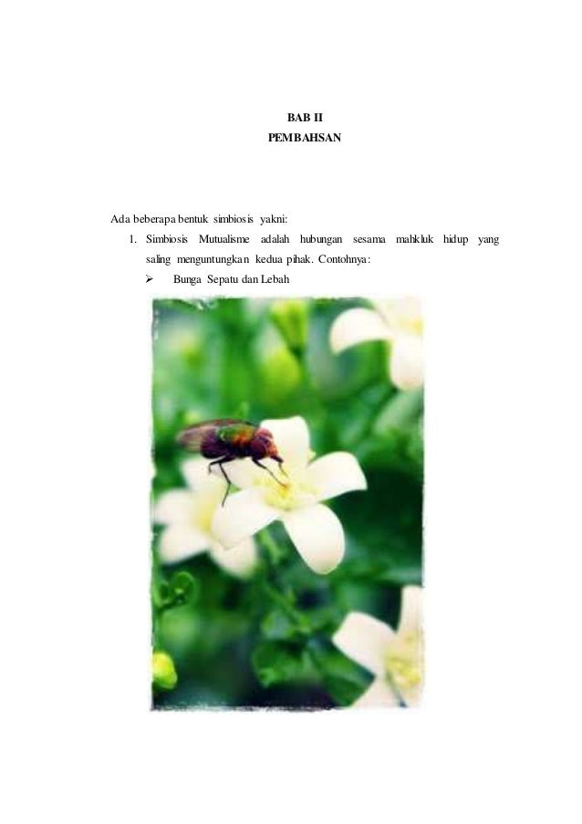 Makalah simbiosis