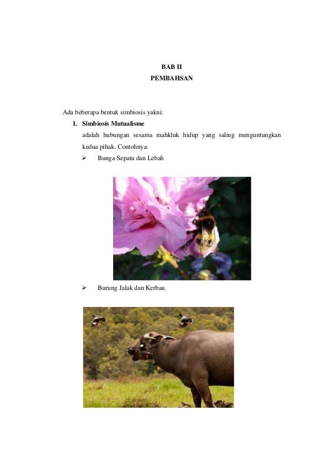 Makalah simbiosis harlianti