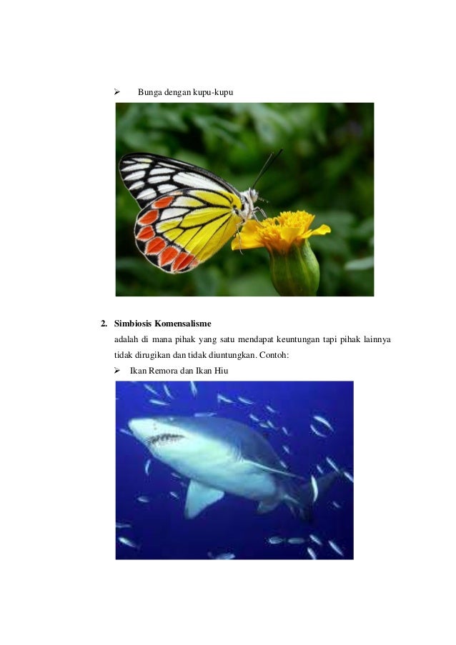 Makalah simbiosis harlianti