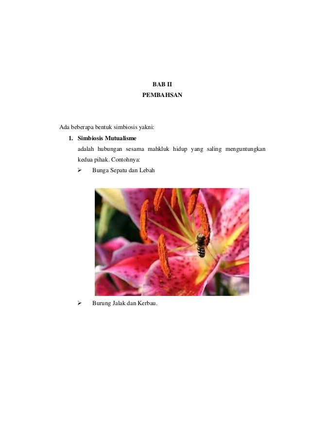 Makalah simbiosis muliasti