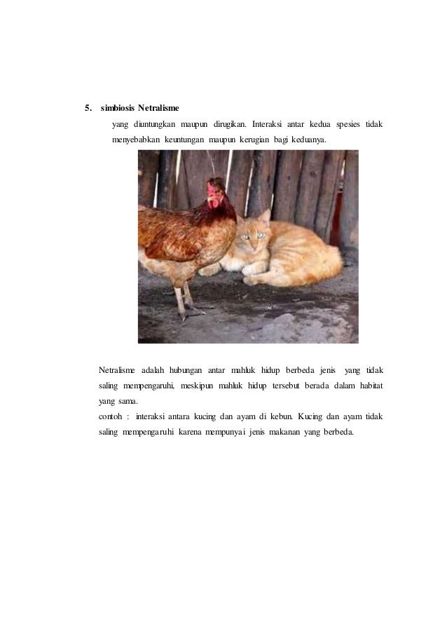 Makalah simbiosis wa ode husni