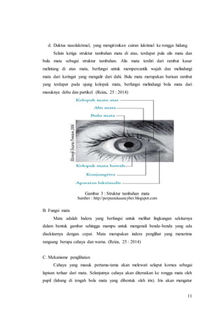 11
d. Duktus nasolakrimal, yang mengirimkan cairan lakrimal ke rongga hidung.
Selain ketiga struktur tambahan mata di atas, terdapat pula alis mata dan
bulu mata sebagai struktur tambahan. Alis mata terdiri dari rambut kasar
melintang di atas mata, berfungsi untuk mempercantik wajah dan melindungi
mata dari keringat yang mengalir dari dahi. Bulu mata merupakan barisan rambut
yang terdapat pada ujung kelopak mata, berfungsi melindungi bola mata dari
masuknya debu dan partikel. (Reiza, 25 : 2014)
Gambar 3 : Struktur tambahan mata
Sumber : http://perpustakaancyber.blogspot.com
B. Fungsi mata
Mata adalah Indera yang berfungsi untuk melihat lingkungan sekitarnya
dalam bentuk gambar sehingga mampu untuk mengenali benda-benda yang ada
disekitarnya dengan cepat. Mata merupakan indera penglihat yang menerima
rangsang berupa cahaya dan warna. (Reiza, 25 : 2014)
C. Mekanisme penglihatan
Cahaya yang masuk pertama-tama akan melewati selaput kornea sebagai
lapisan terluar dari mata. Selanjutnya cahaya akan diteruskan ke rongga mata oleh
pupil (lubang di tengah bola mata yang dibentuk oleh iris). Iris akan mengatur
 