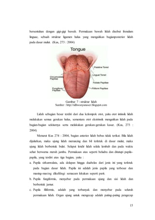 15
bersentuhan dengan gigi-gigi bawah. Permukaan bawah lidah disebut frenulum
linguae, sebuah struktur ligamen halus yang mengaitkan bagianposterior lidah
pada dasar mulut. (Kus, 273 : 2004)
Gambar 7 : struktur lidah
Sumber : http://ridhwanyunaser.blogspot.com
Lidah sebagian besar terdiri dari dua kelompok otot, yaitu otot intinsik lidah
melakukan semua gerakan halus, sementara otot ekstrinsik mengaitkan lidah pada
bagian-bagian sekitarnya serta melakukan gerakan-gerakan kasar. (Kus, 273 :
2004)
Menurut Kus 274 : 2004, bagian anterior lidah bebas tidak terikat. Bila lidah
dijulurkan, maka ujung lidah meruncing dan bil terletak di dasar mulut, maka
ujung lidah berbentuk bulat. Selaput lendir lidah selalu lembab dan pada waktu
sehat berwarna merah jambu. Permukaan atas seperti beludru dan ditutupi papila-
papila, yang terdiri atas tiga bagian, yaitu :
a. Papila sirkumvalata, ada delapan hingga duabelas dari jenis ini yang terletak
pada bagian dasar lidah. Papila ini adalah jenis papila yang terbesar dan
masing-masing dikelilingi semacam lekukan seperti parit.
b. Papila fungiformis, menyebar pada permukaan ujung dan sisi lidah dan
berbentuk jamur.
c. Papila filiformis, adalah yang terbanyak dan menyebar pada seluruh
permukaan lidah. Organ ujung untuk mengecap adalah puting-puting pengecap
 