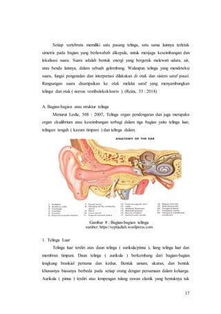 17
Setiap vertebrata memiliki satu pasang telinga, satu sama lainnya terletak
simetris pada bagian yang berlawabab dikepala, untuk menjaga keseimbangan dan
lokalisasi suara. Suara adalah bentuk energi yang bergerak melewati udara, air,
atau benda lainnya, dalam sebuah gelombang. Walaupun telinga yang mendeteksi
suara, fungsi pengenalan dan interpretasi dilakukan di otak dan sistem saraf pusat.
Rangsangan suara disampaikan ke otak melalui saraf yang menyambungkan
telinga dan otak ( nervus vestibulokoklearis ). (Reiza, 33 : 2014)
A. Bagian-bagian atau struktur telinga
Menurut Leslie, 508 : 2007, Telinga organ pendengaran dan juga merupakn
organ ekuilibrium atau keseimbangan terbagi dalam tiga bagian yaitu telinga luar,
telingan tengah ( kavum timpani ) dan telinga dalam.
Gambar 8 : Bagian-bagian telinga
sumber: https://septiadiah.wordpress.com
1. Telinga Luar
Telinga luar terdiri atas daun telinga ( aurikula/pinna ), liang telinga luar dan
membran timpani. Daun telinga ( aurikula ) berkembang dari bagian-bagian
lengkung brankial pertama dan kedua. Bentuk umum, ukuran, dan bentuk
khususnya biasanya berbeda pada setiap orang dengan persamaan dalam keluarga.
Aurikula ( pinna ) terdiri atas lempengan tulang rawan elastik yang bentuknya tak
 