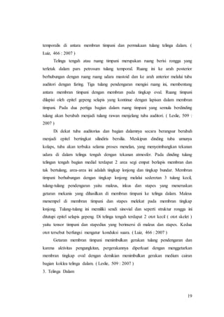 19
temporalis di antara membran timpani dan permukaan tulang telinga dalam. (
Luiz, 466 : 2007 )
Telinga tengah atau ruang timpani merupakan ruang berisi rongga yang
terletak dalam pars petrosum tulang temporal. Ruang ini ke arah posterior
berhubungan dengan ruang ruang udara mastoid dan ke arah anterior melalui tuba
auditori dengan faring. Tiga tulang pendengaran mengisi ruang ini, membentang
antara membran timpani dengan membran pada tingkap oval. Ruang timpani
dilapisi oleh epitel gepeng selapis yang kontinue dengan lapisan dalam membran
timpani. Pada dua pertiga bagian dalam ruang timpani yang semula berdinding
tulang akan berubah menjadi tulang rawan menjelang tuba auditori. ( Leslie, 509 :
2007 )
Di dekat tuba auditorius dan bagian dalamnya secara berangsur berubah
menjadi epitel bertingkat silindiris bersilia. Meskipun dinding tuba umunya
kolaps, tuba akan terbuka selama proses menelan, yang menyeimbangkan tekanan
udara di dalam telinga tengah dengan tekanan atmosfer. Pada dinding tulang
telingan tengah bagian medial terdapat 2 area segi empat berlapis membran dan
tak bertulang, area-area ini adalah tingkap lonjong dan tingkap bundar. Membran
timpani berhubungan dengan tingkap lonjong melalui sederetan 3 tulang kecil,
tulang-tulang pendengaran yaitu maleus, inkus dan stapes yang meneruskan
getaran mekanis yang dihasilkan di membran timpani ke telinga dalam. Maleus
menempel di membran timpani dan stapes melekat pada membran tingkap
lonjong. Tulang-tulang ini memiliki sendi sinovial dan seperti struktur rongga ini
ditutupi epitel selapis gepeng. Di telinga tengah terdapat 2 otot kecil ( otot skelet )
yaitu tensor timpani dan stapedius yang berinsersi di maleus dan stapes. Kedua
otot tersebut berfungsi mengatur konduksi suara. ( Luiz, 466 : 2007 )
Getaran membran timpani menimbulkan gerakan tulang pendengaran dan
karena aktivitas pengungkitan, pergerakannya diperkuat dengan menggetarkan
membran tingkap oval dengan demikian menimbulkan gerakan medium cairan
bagian koklea telinga dalam. ( Leslie, 509 : 2007 )
3. Telinga Dalam
 