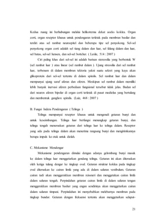21
Kedua ruang ini berhubungan melalui helikotrema dekat aoeks koklea. Organ
corti, organ reseptor khusus untuk pendengaran terletak pada membran basilar dan
terdiri atas sel rambut neuroepitel dan beberapa tipe sel penyokong. Sel-sel
penyokong organ corti adalah sel tiang dalam dan luar, sel falang dalam dan luar,
sel batas, sel-sel hensen, dan sel-sel bottcher. ( Leslie, 514 : 2007 )
Ciri paling khas dari sel-sel ini adalah barisan stereosilia yang berbentuk W
(sel rambut luar ) atau linear (sel rambut dalam ). Ujung streosilia dari sel rambut
luar, terbenam di dalam membran tektoria yakni suatu sekret yang kaya akan
glikoprotein dari sel-sel tertentu di dalam spiralis. Sel rambut luar dan dalam
mempunyai ujung saraf aferan dan eferen. Meskipun sel rambut dalam memiliki
lebih banyak inervasi aferen perbedaan fungsional tersebut tidak jelas. Badan sel
dari neuron aferen bipolar di organ corti terletak di pusat modiolus yang bertulang
dan membentuk ganglion spiralis. (Luiz, 468 : 2007 )
B. Fungsi Indera Pendengaran ( Telinga )
Telinga mempunyai reseptor khusus untuk mengenali getaran bunyi dan
untuk keseimbangan. Telinga luar berfungsi menangkap getaran bunyi, dan
telinga tengah meneruskan getaran dari telinga luar ke telinga dalam. Reseptor
yang ada pada telinga dalam akan menerima rangsang bunyi dan mengirimkannya
berupa impuls ke otak untuk diolah.
C. Mekanisme Mendengar
Mekanisme pendengaran dimulai dengan adanya gelombang bunyi masuk
ke dalam telinga luar menggetarkan gendang telinga. Getaran ini akan diteruskan
oleh ketiga tulang dengar ke tingkap oval. Getaran struktur koklea pada tingkap
oval diteruskan ke cairan limfa yang ada di dalam saluran vestibulum. Getaran
cairan tadi akan menggerakkan membran reissneri dan menggetakan cairan limfa
dalam saluran tengah. Perpindahan getaran cairan limfa di dalam saluran tengan
menggerakkan membran basher yang engan sendirinya akan menggetarkan cairan
dalam saluran timpani. Perpindahan ini menyebabkan melebarnya membran pada
tingkap bundar. Getaran dengan frekuensi tertentu akan menggetarkan selaput-
 