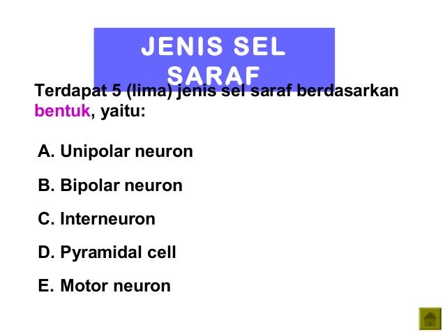 Makalah Sistem Saraf : Makalah Sistem Saraf - Makalah Sistem Saraf Dan
