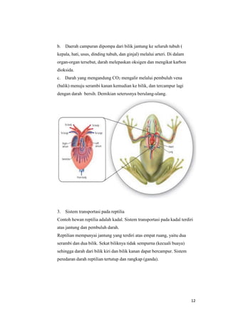 Organ peredaran darah pada hewan katak adalah