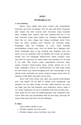Makalah sistem urinaria | PDF