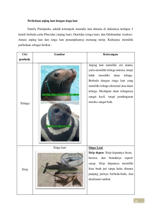 Makalah Sisver Revisi 2013