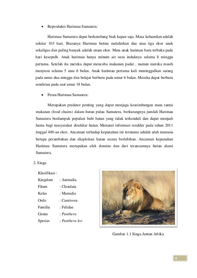 Carnivora Dan Proboscidea