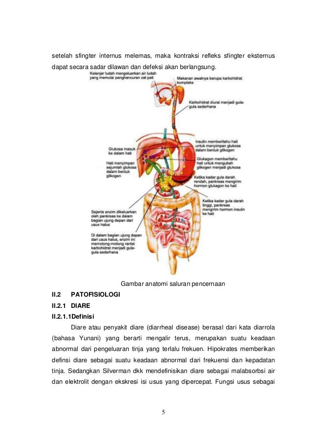 Makalah Swamedikasi Diare Dan Sembelit