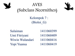 AVES
(Subclass Neornithes)
Kelompok 7 :
(Bioloi_G)
Sulaiman 1411060399
Umi Fitriyani 1411060409
Wiwin Wulandari 1411060416
Yopi Yuansa 1411060419
 