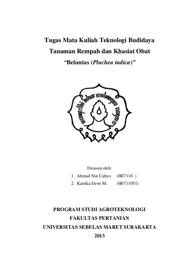 Makalah tbt rempah dan khasiat obat beluntas Makalah tbt rempah dan khasiat obat beluntas