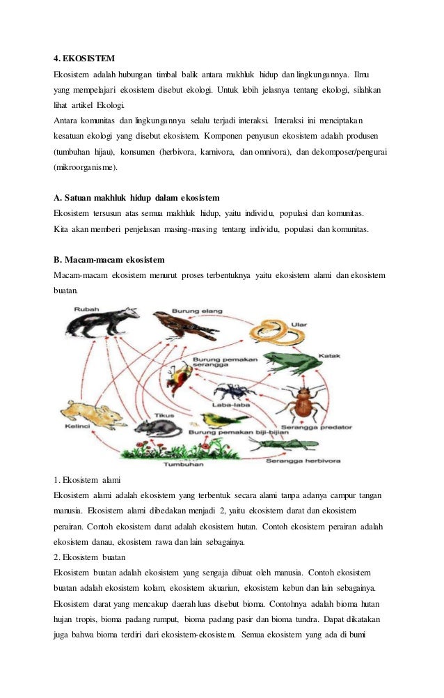Makalah tingkatan organisme makhluk hidup