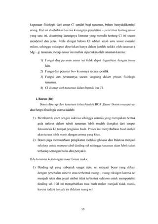 kegunaan fisiologis dari unsur Cl sendiri bagi tanaman, belum banyakdiketahui
orang. Hal ini disebabkan karena kurangnya penelitian – penelitian tentang unsur
yang satu ini, disamping kurangnya literatur yang menulis tentang Cl ini secara
mendetail dan jelas. Perlu diingat bahwa Cl adalah salah satu unsur esensial
mikro, sehingga walaupun diperlukan hanya dalam jumlah sedikit oleh tanaman (
Mg – g/ tanaman ) tetapi unsur ini mutlak diperlukan oleh tanaman karena :

        1) Fungsi dan peranan unsur ini tidak dapat digantikan dengan unsur
           lain.
        2) Fungsi dan peranan bio- kemisnya secara spesifik.
        3) Fungsi dan peranannya secara langsung dalam proses fisiologis
           tanaman.
        4) Cl diserap oleh tanaman dalam bentuk ion Cl.


    i. Boron (Br)
       Boron diserap oleh tanaman dalam bentuk BO3 .Unsur Boron mempunyai
dua fungsi fisiologis utama adalah:

  1) Membentuk ester dengan sukrosa sehingga sukrosa yang merupakan bentuk
     gula terlarut dalam tubuh tanaman lebih mudah diangkut dari tempat
     fotosintesis ke tempat pengisian buah. Proses ini menyebabkan buah melon
     akan terasa lebih manis dengan aroma yang khas.
  2) Boron juga memudahkan pengikatan molekul glukosa dan fruktosa menjadi
     selulosa untuk mempertebal dinding sel sehingga tanaman akan lebih tahan
     terhadap serangan hama dan penyakit.

Bila tanaman kekurangan unsur Boron maka:

  1) Dinding sel yang terbentuk sangat tipis, sel menjadi besar yang diikuti
     dengan penebalan suberin atau terbentuk ruang – ruang reksigen karena sel
     menjadi retak dan pecah akibat tidak terbentuk selulosa untuk mempertebal
     dinding sel. Hal ini menyebabkan rasa buah melon menjadi tidak manis,
     karena terlalu banyak air didalam ruang sel.




                                       10
 