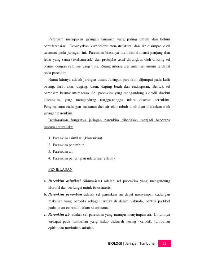 Makalah biologi (jaringa tumbuhan)