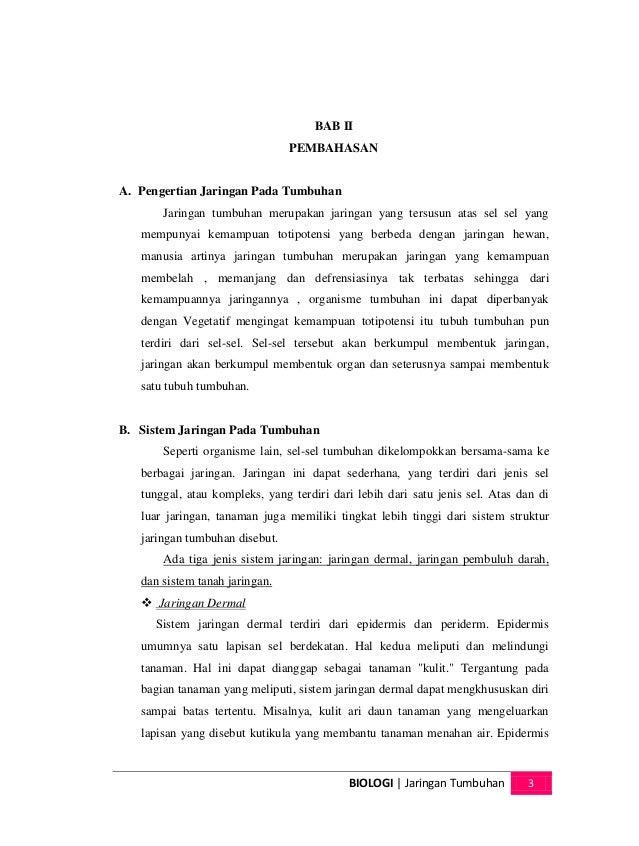 Makalah Biologi Jaringa Tumbuhan
