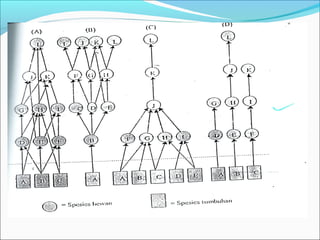 Makanan dan hubungannya 