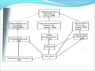 Makanan dan hubungannya 