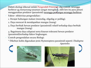 - Dalam ekologi dikenal istilah Pengendali Potensial, sbg contoh, serangga
herbivor yg menyerang tanaman sangat merugikan, oleh krn itu para petani
menggunakan predator (parasitoid) serangga pemangsa serangga herbivor.
- Faktor efektivitas pengendalian :
1. Derajat hubungan makan (monofag, oligofag or polifag).
2. Daya mencari & mendapatkan mangsa (inang)
3. Daya berbiak hewan predator (parasitoid) relatif terhadap daya berbiak
mangsa (inang)
4. Bagaimana daya adaptasi serta kisaran toleransi hewan predator
(parasitoid)terhadap faktor lingkungan.
- Contoh pengendalian secara Biologi:
* Dikebun kubis digunakan jenis Hymenoptera parasitoid seperti: Diadegma
Apanteles
 