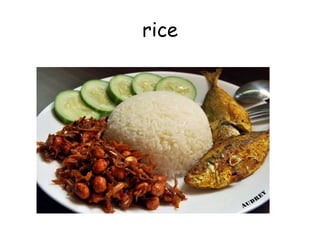 rice
 