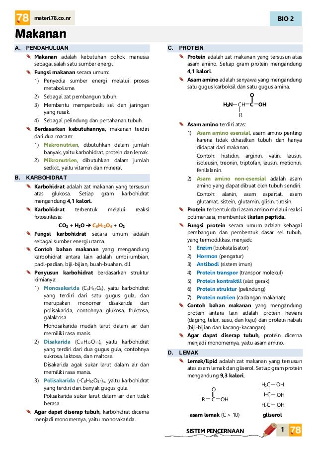 Materi Makanan Kelas Xi Sma