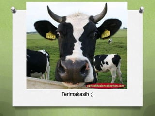 Terimakasih ;)
 