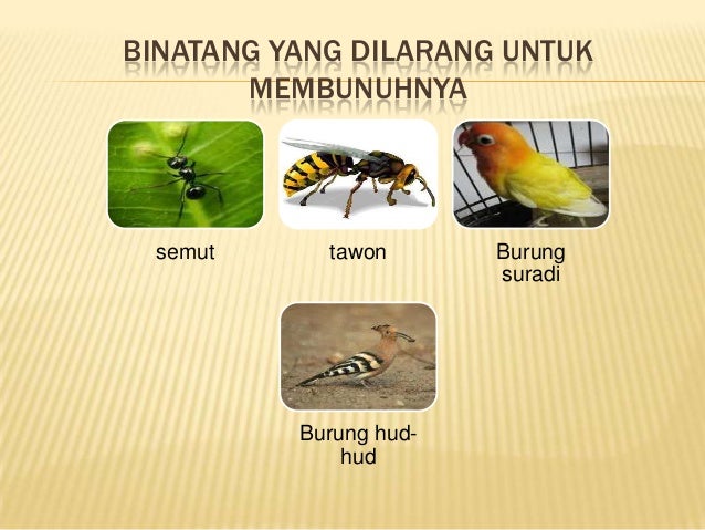 Makanan dan minuman yang halal dan yang haram Makanan dan minuman yang halal dan yang haram