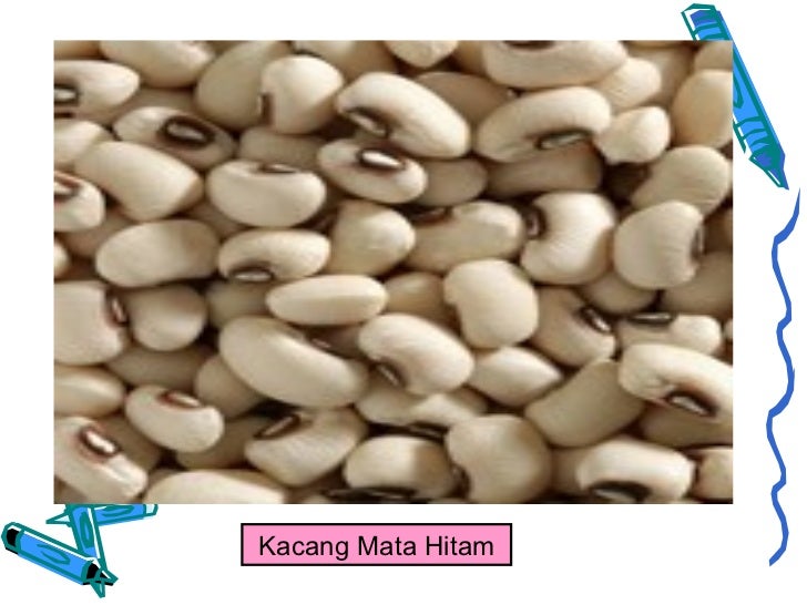 Pemilihan dan Penyimpanan Makanan Kering